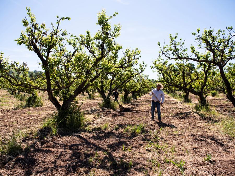 Farmer in Coyote Valley Resilience District
